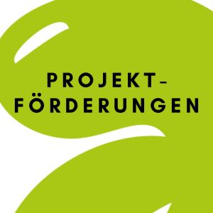 Projektförderung-6